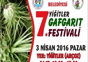 7.Gafgart Festivali Hazrlklar Sryor
