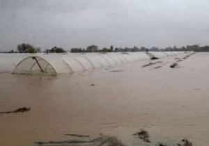 Antalya da Aşırı Yağış,Yaşamı, Sera ve Tarım Arazilerinde Çiftçiyi Mağdur Ediyor