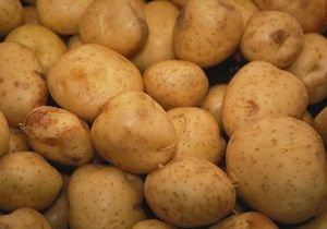 Genel Tarm Sigortas Fonundan Patates reticilerine Duyuru