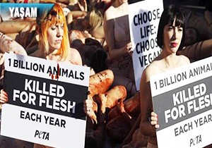 PETA dan Hayvan Katliamna Dikkat eken Eylem