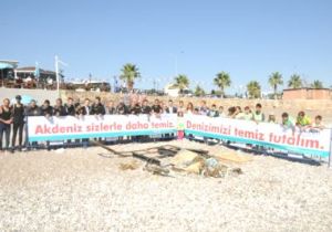 Antalya Konyaalt Sahili nde Deniz Dibi Temizlendi