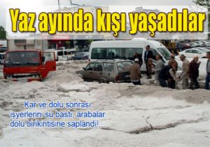 Erzurum u dolu vurdu