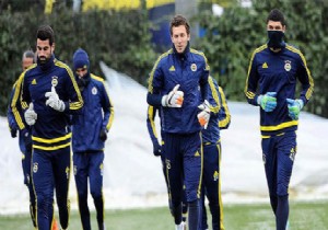 Fenerbahçe Çeyrek Final İçin Mücadele Edecek