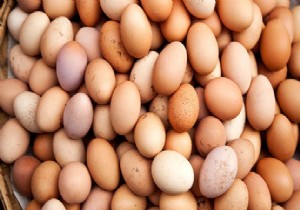 Yumurtalara Damga ve Tarih Standartı