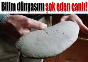 450 milyon yandaki esrarengiz canl