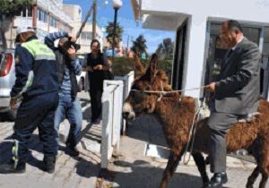 Eekle Meclise Gelen Albayrak a Soruturma