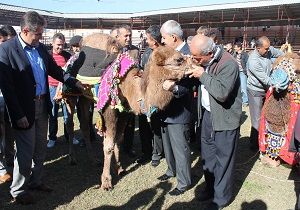 Kumlucada Havut Giydirme Treni