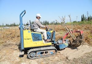 EXPO 2016 Antalya Hazrlklar Sryor