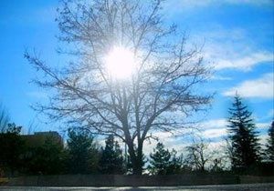 Meteoroloji Dairesinden Gneli Hava Mjdesi