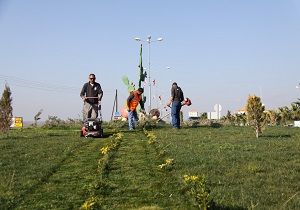 Yeil Doku ve ada Dzenlemeler skele de Fark Yaratyor