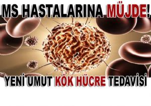 MS Hastalarna Kk Hcre Tedavisi