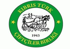 Kbrs Trk iftiler Birlii: Hkmet Biran nce Kurulmal