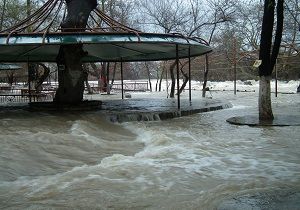 Manavgat Yaa Teslim Oldu