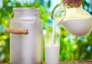 Süt ve süt ürünleri ihracatında uygulanacak ihracat teşvik destekleri yeniden belirlendi