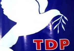 TDP Kadn rgt, Tatarn  Aklamalarn Eletirdi