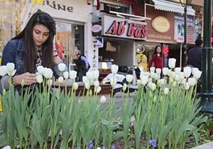 Antalya Sokaklar Lale At