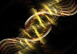 8 bin Trk DNA s Rumlarda