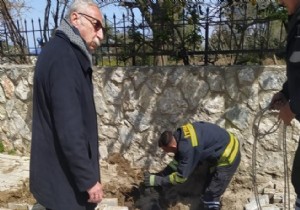 Mahsur kalan yavru kpekleri Girne Belediye tfaiyesi Kurtard