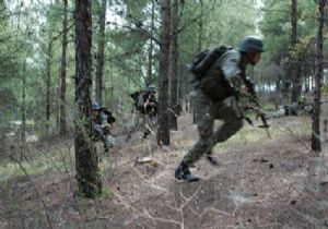 Hakkari de 15 PKK l ldrld