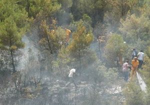 Hatay da atma Srasnda kan Yangn Kontrol Altnda