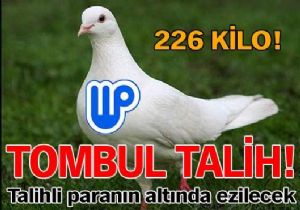 Ylba kramiyesi Tam 226 Kilo Geliyor