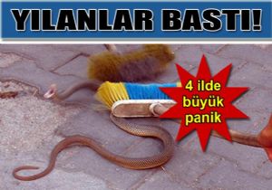 Trkiye yi ylanlar bast