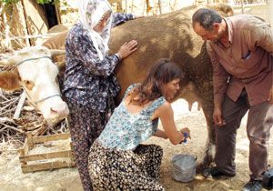 Tunuslu nek Saarak Ky Yaamna Isnyor